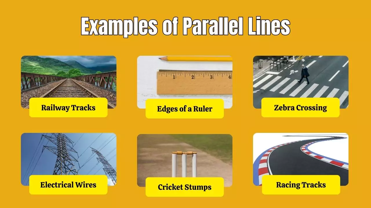 Examples of Parallel Lines in everyday life