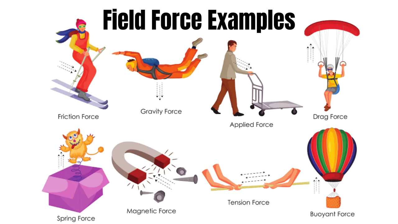 Field Force Examples