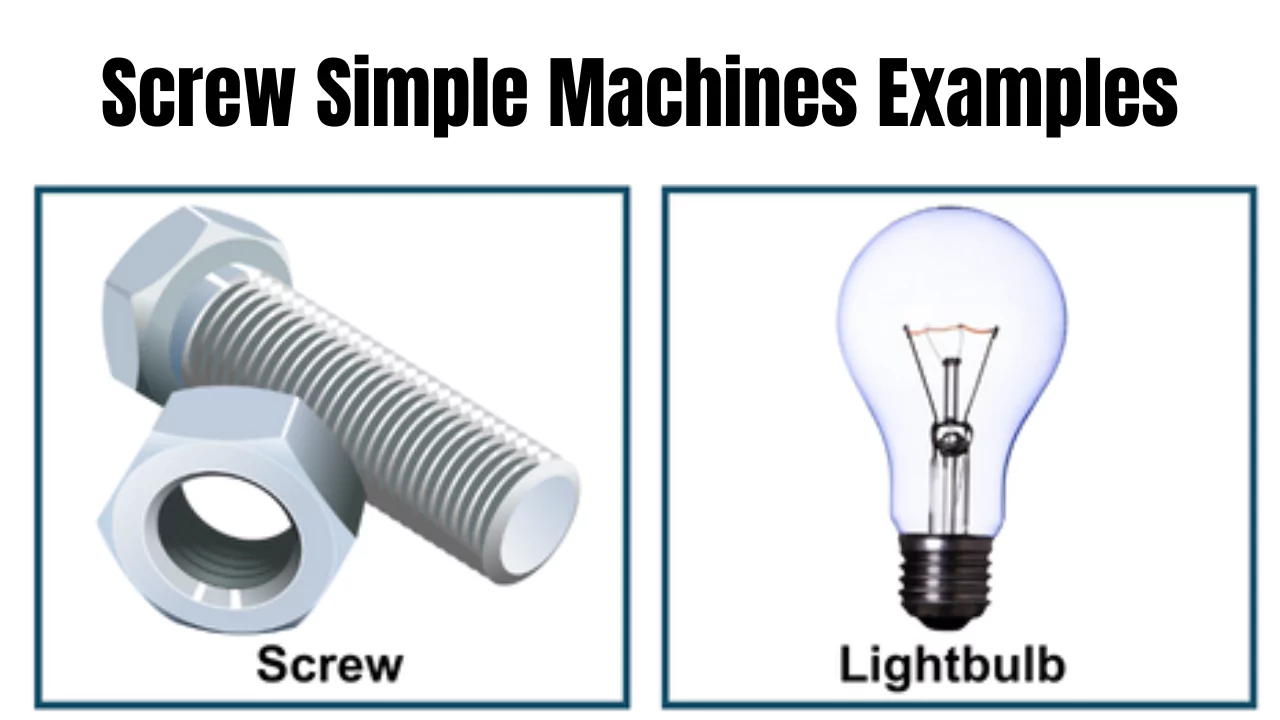 Screw Simple Machines Examples