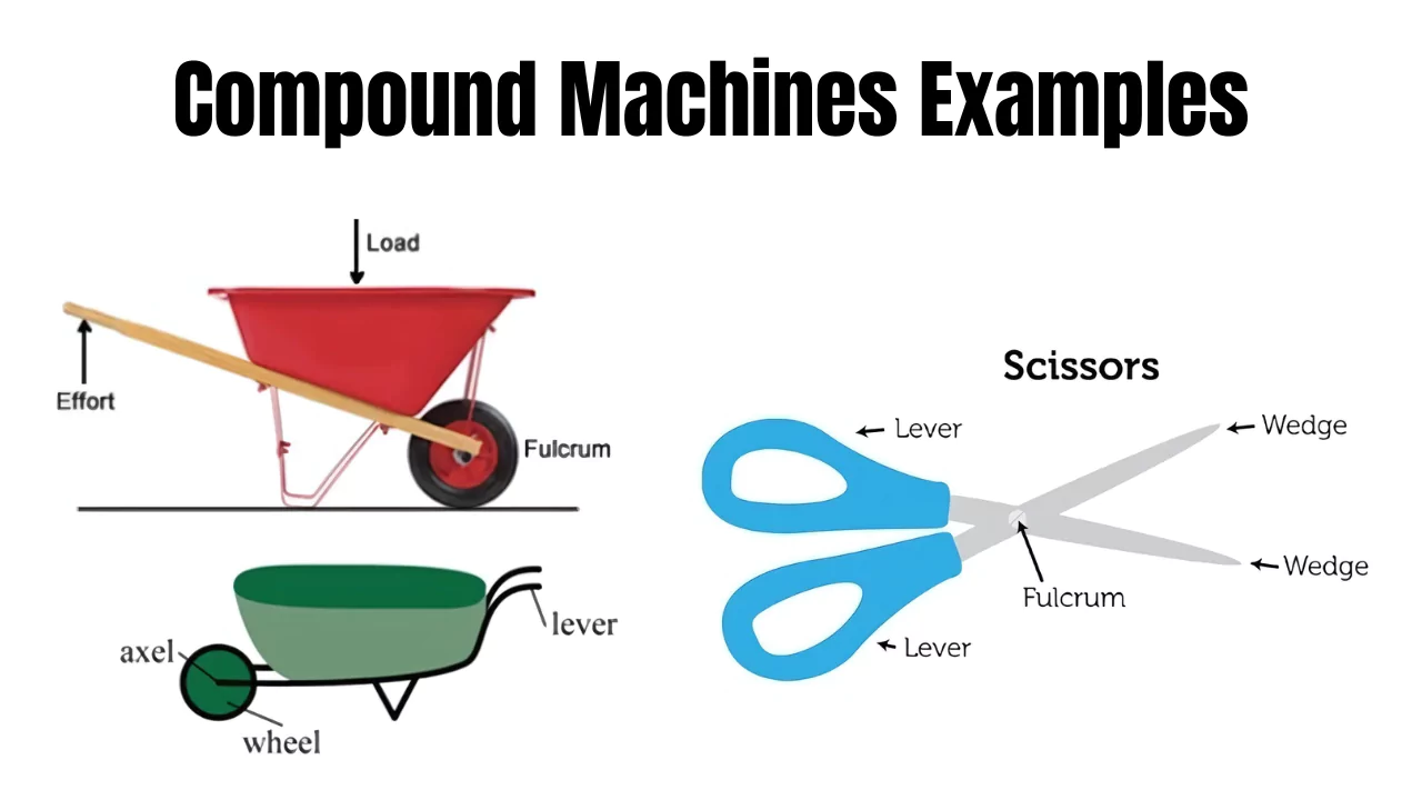 compound machines examples